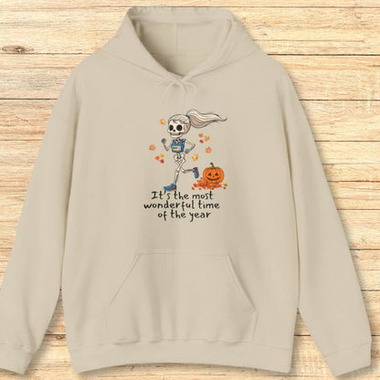 Wonderful Time of the Year Hoodie Sweatshirt